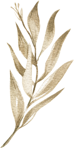 Watercolor Decorative Branch Illustration